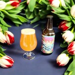 メリーズクラブ - 