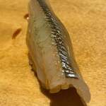 寿し おおはた - 