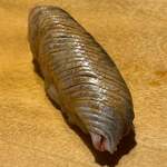 寿し おおはた - 