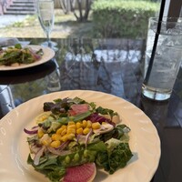 DON CONA CONERY 品川 - 