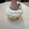 Fruits Cafe コトノミ