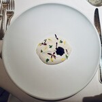 オオハラ エ シーアイイー - Entrée カリフラワーのムースとズワイガニのタルタル キャビア添え
      2025年2月22日