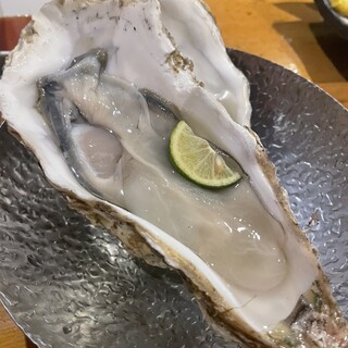 魚まみれ 眞吉_1