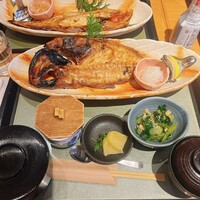 大山鶏と鮮魚 居酒屋 まいか - 