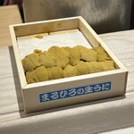 鮨 なんば - 雲丹　対馬