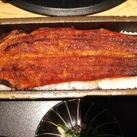 うなぎ四代目菊川 ムスブ田町店 - この写真は、同席した家族が注文した１本鰻。