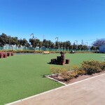 小麦の根 ピーターパン - 