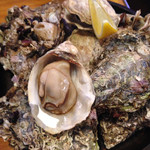 Oyster Bar ジャックポット - 