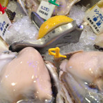 Oyster Bar ジャックポット - 