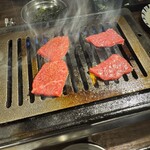 ホルモン人生タロちゃん - 