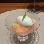 スガラボヴィー - 