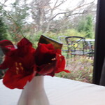 Italian Ryori Lucchicore