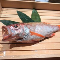 のどぐろ専門 銀座中俣 極 - 紅瞳