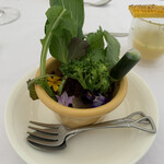 Snow Peak FIELD SUITE HAKUBA KITAONE KOGEN - 植木鉢、とうもろこしの冷製スープ