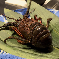 本店山科 - 