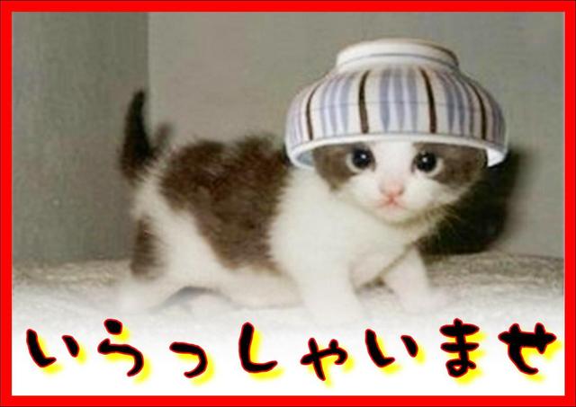 みや蔵（みやぞう） - 象潟（ラーメン）の写真