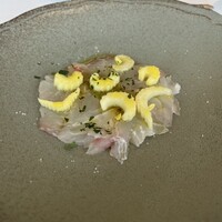 イリエスケープ - 