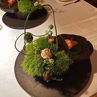 タケル クインディチ(LOQUAT) 西伊豆 - 