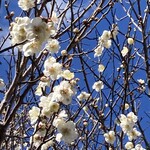 カネタ前田商店 - 