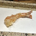 日本橋 蕎ノ字 - 車海老二尾