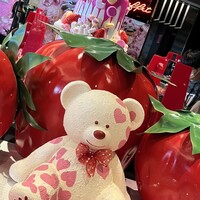 フォルク キッチン オールデイダイニング  - 