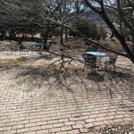 カフェブロッサム - 