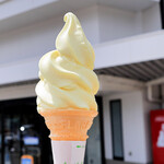 淡路島南パーキングエリア（上り）フードコート - 瀬戸内レモン