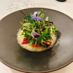 オトワ レストラン - 栃木旬の野菜