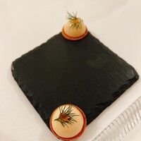 オトワ レストラン - ヤシオマスの燻製仕立て