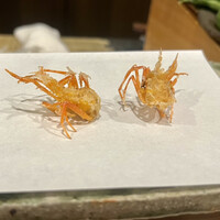 天白 - 