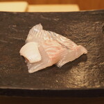 日本橋蛎殻町 すぎた - 北海道マツカワカレイ