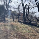 鎌田鳥山 - そしてその上には千尋の新しい青い家（木で隠れているがホントに青い家）映画ではその右隣が黄色い家だったが、ここでは隣の隣が黄色い家になっている