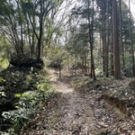 鎌田鳥山 - ここから山道を抜けると…
