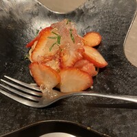 オッジ ダルマット 西麻布店 - 