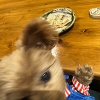 ふぐ料理 うめい - 