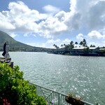 Island Brew COFFEEHOUSE - 