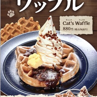 キャッツカフェ_1