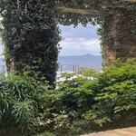 トロピカルフルーツカフェ スコール - 