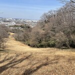 鎌田鳥山 - 草原を登り切って振り返ると、かなり登って来たのが分かる八王子市内の風景。ここから、右側の森の上の尾根道へ