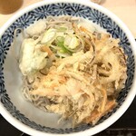 和そば - かき揚げの冷たい蕎麦