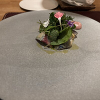 ARMONICO - 