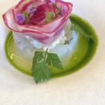 ラルジャン - 大分　アオリイカ