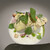 Opuses - 料理写真: