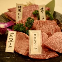 PONGA PREMIUM - 