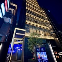 PONGA PREMIUM - 