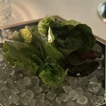 Eleven Madison Park - 