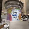 発酵 CALPIS PARLOR