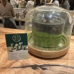 スターバックス ティバーナストア - 