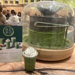 スターバックス ティバーナストア 銀座マロニエ通り店 - 