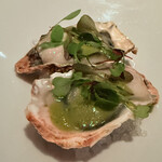 THE COSMOPOLITAN GRILL BAR TERRACE - 